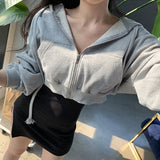 Autumnal Hooded Zipper Sweaters Outerwear for Women